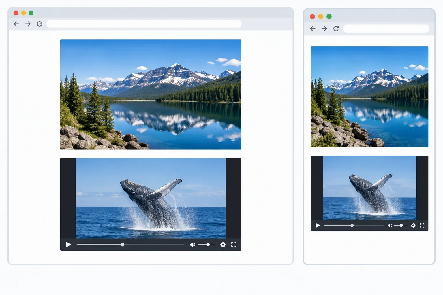 Expected wide and narrow rendering of a natural photo above a fully visible video inside a 16:9 frame.