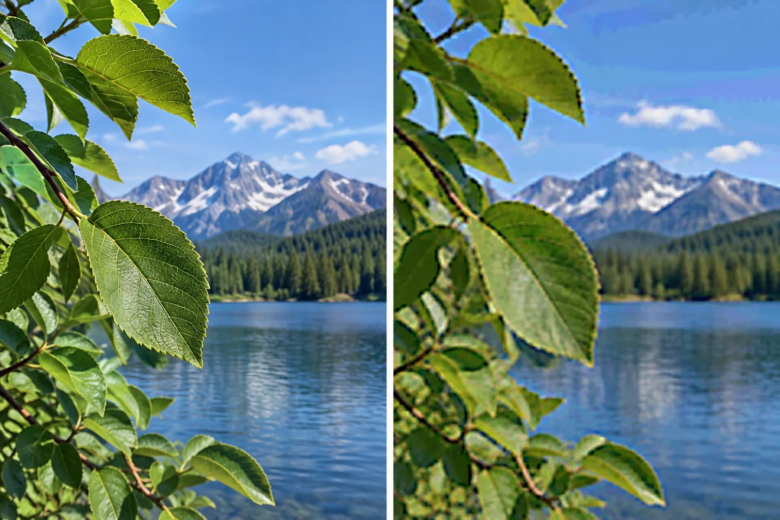 A side-by-side image-detail comparison showing preserved fine texture on one side and visible JPEG compression artifacts on the other.
