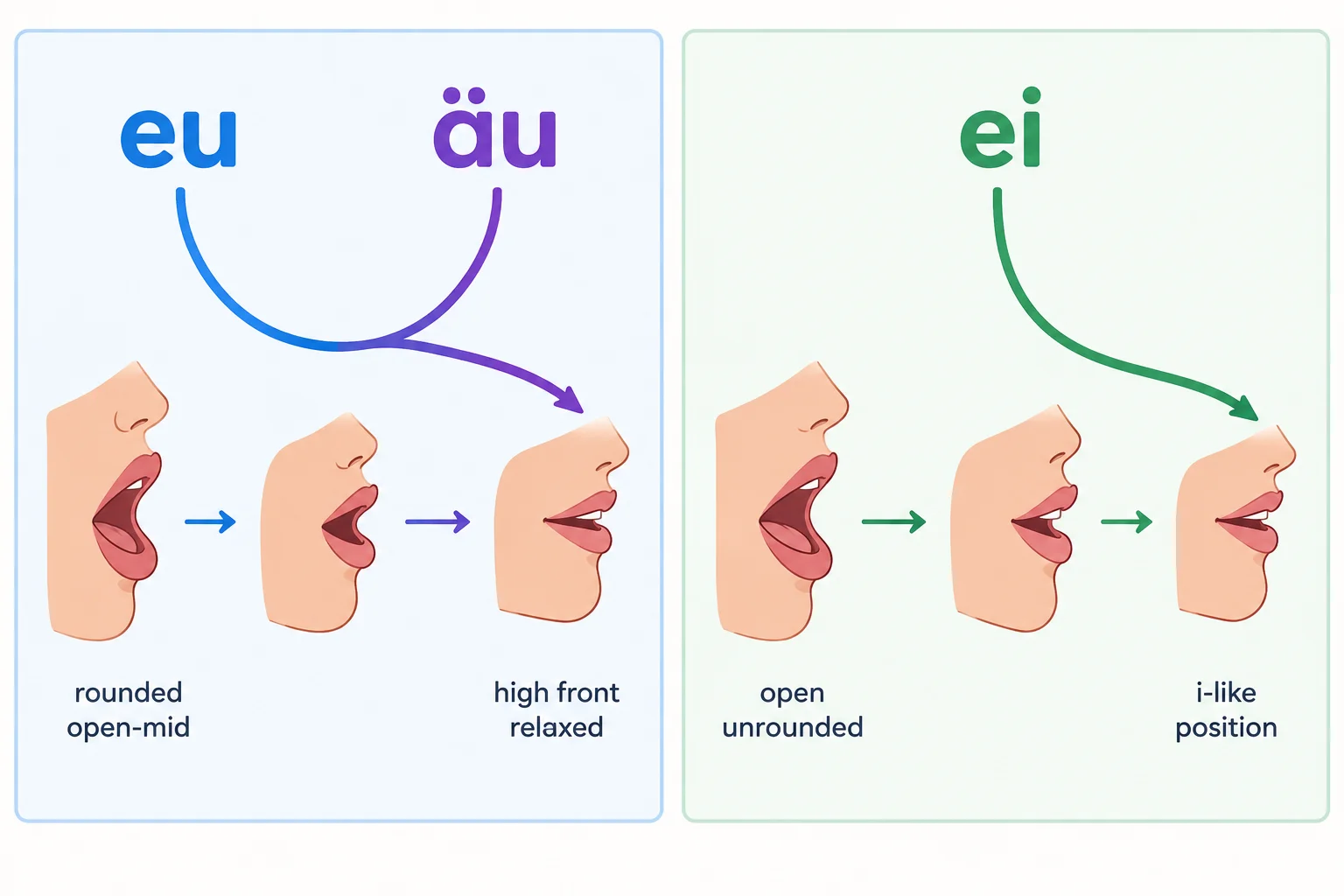 Diagrama comparando eu e äu, que seguem o mesmo percurso vocálico, com ei, que segue outro percurso.