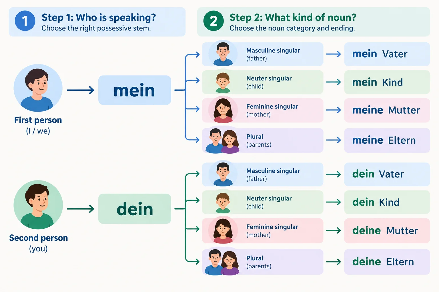 Diagrama em duas etapas: primeiro escolher mein ou dein conforme o possuidor; depois acrescentar -e apenas com substantivo feminino singular ou plural.