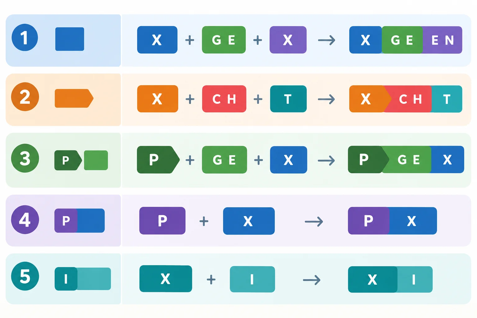 Esquema visual de cinco padrões de particípios, destacando a presença, a posição ou a ausência de ge- e as terminações -t e -en.