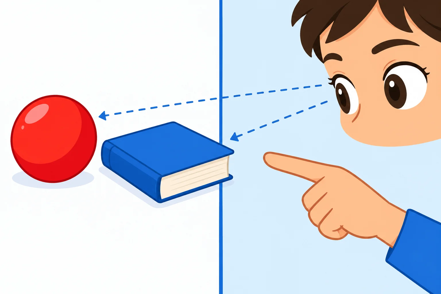 Uma ilustração de uma bola e um livro sendo observada com atenção.