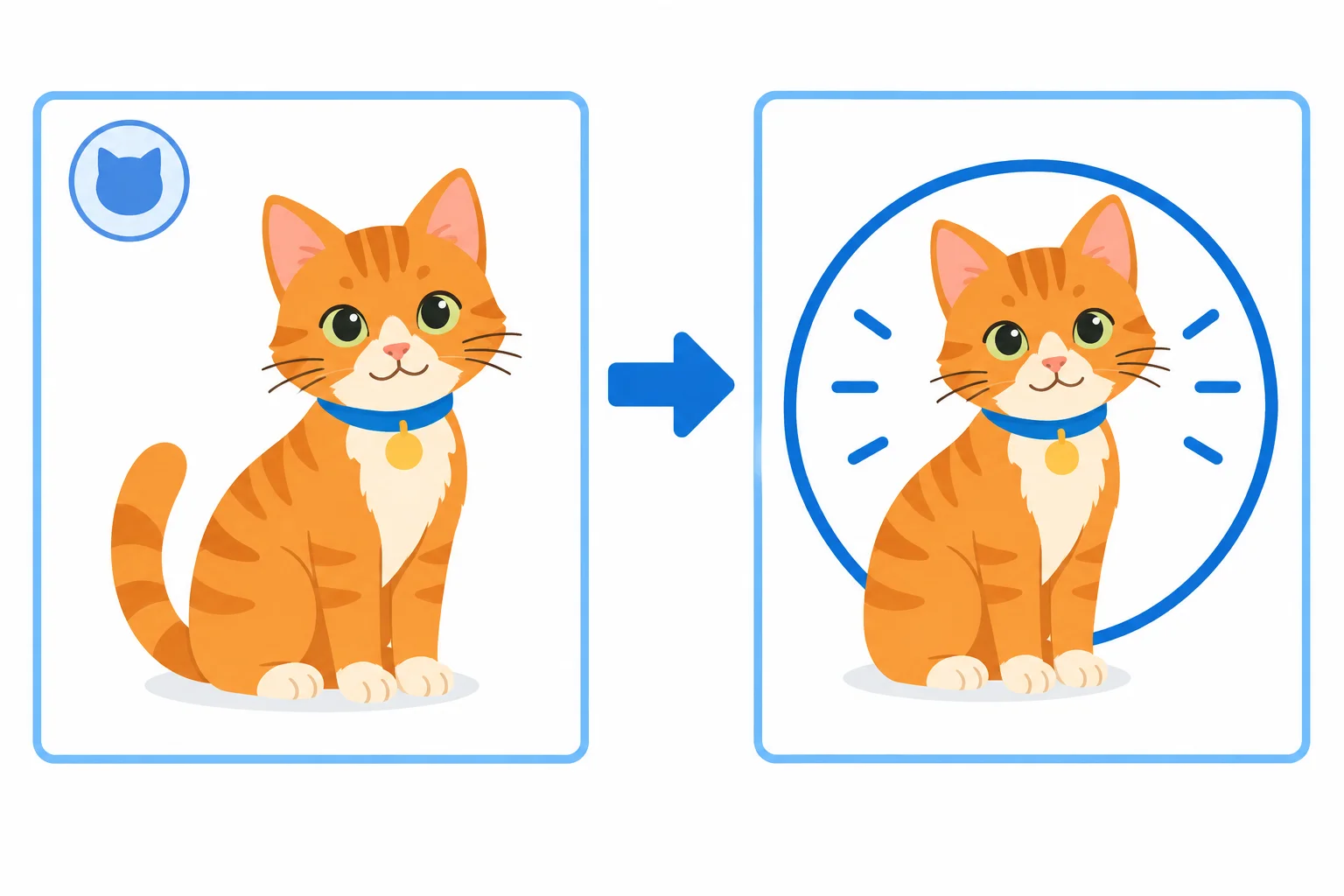 Sequência em dois quadros com o mesmo gato: primeiro ele é apresentado; depois, é retomado como o gato já conhecido.