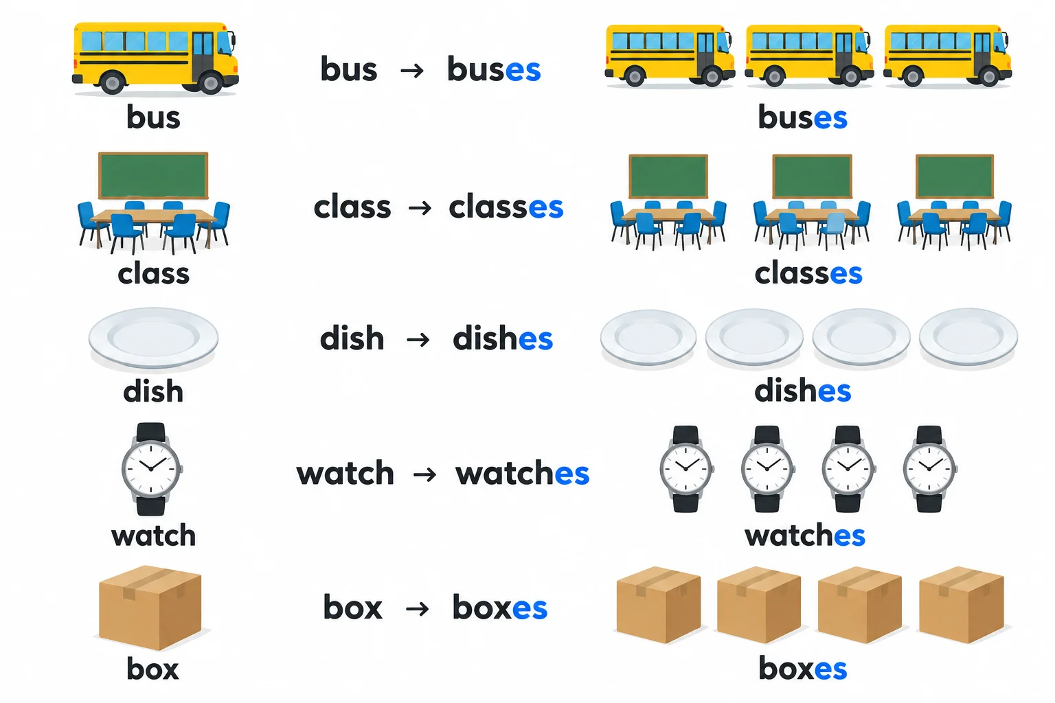 Diagrama com os pares bus/buses, class/classes, dish/dishes, watch/watches e box/boxes, destacando as letras es adicionadas.