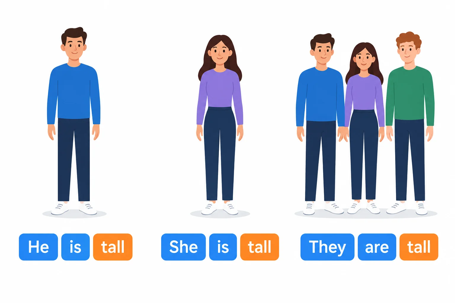 Comparação visual de He is tall, She is tall e They are tall, com tall destacado igualmente nas três frases.