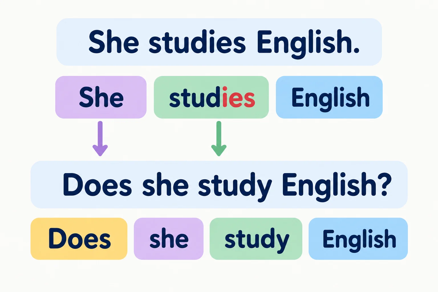 Comparação visual entre She studies English. e Does she study English?, destacando does e study.