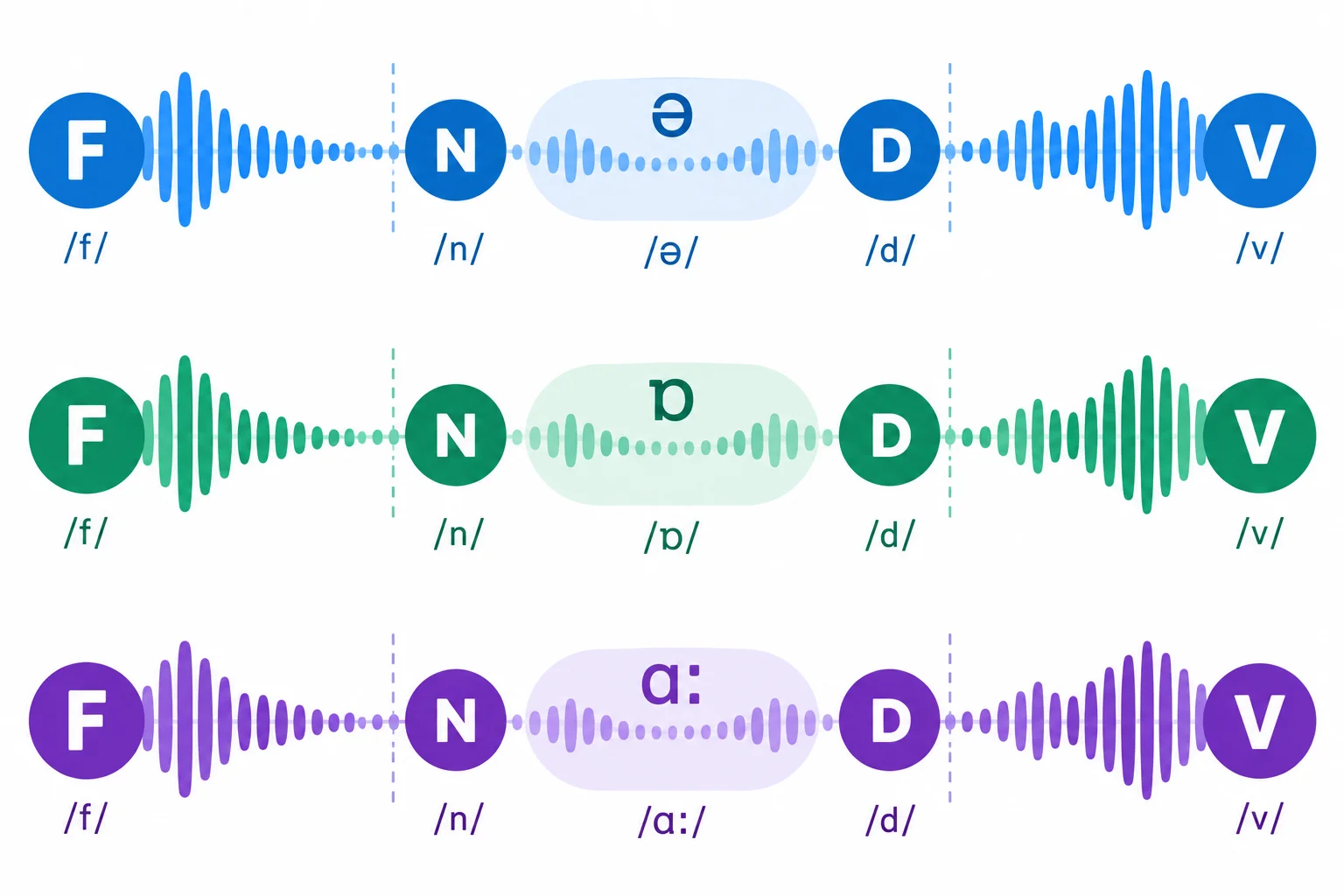 Esquema com três sequências sonoras: uma começa com F, outra termina com V e outra tem N e D ao redor de uma vogal central fraca.