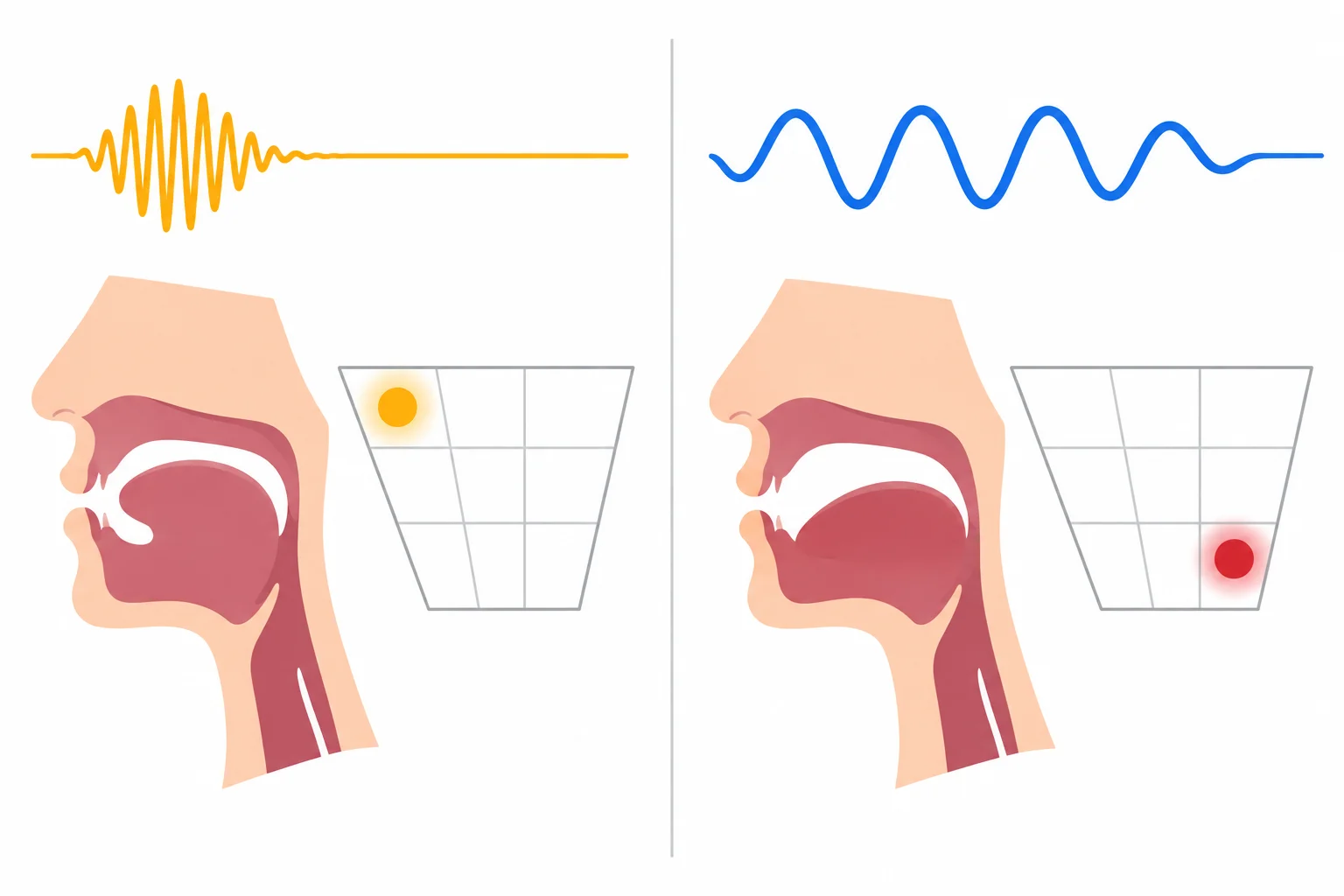 Diagrama lado a lado comparando duas qualidades vocálicas e duas durações percebidas.
